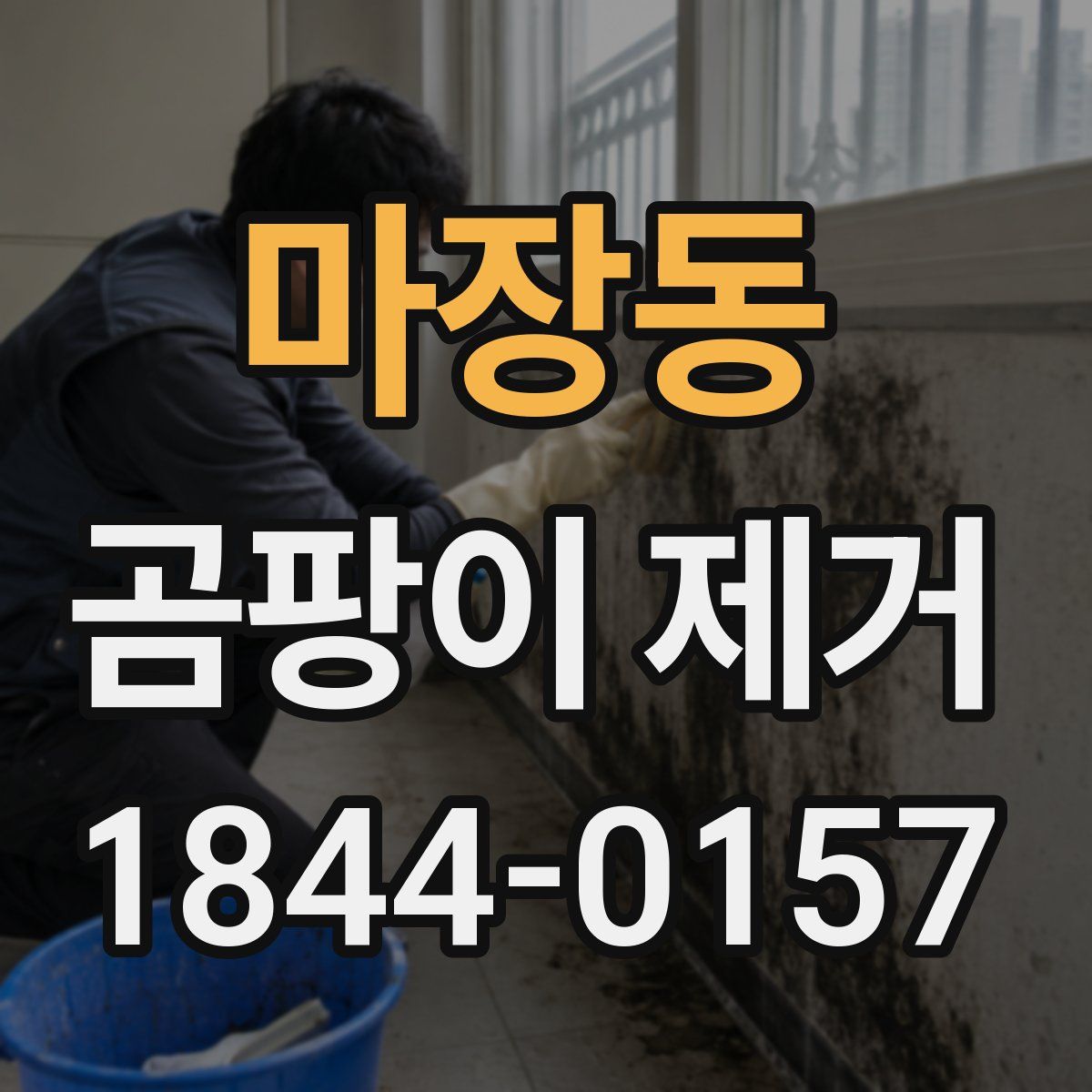 마장동 곰팡이 제거