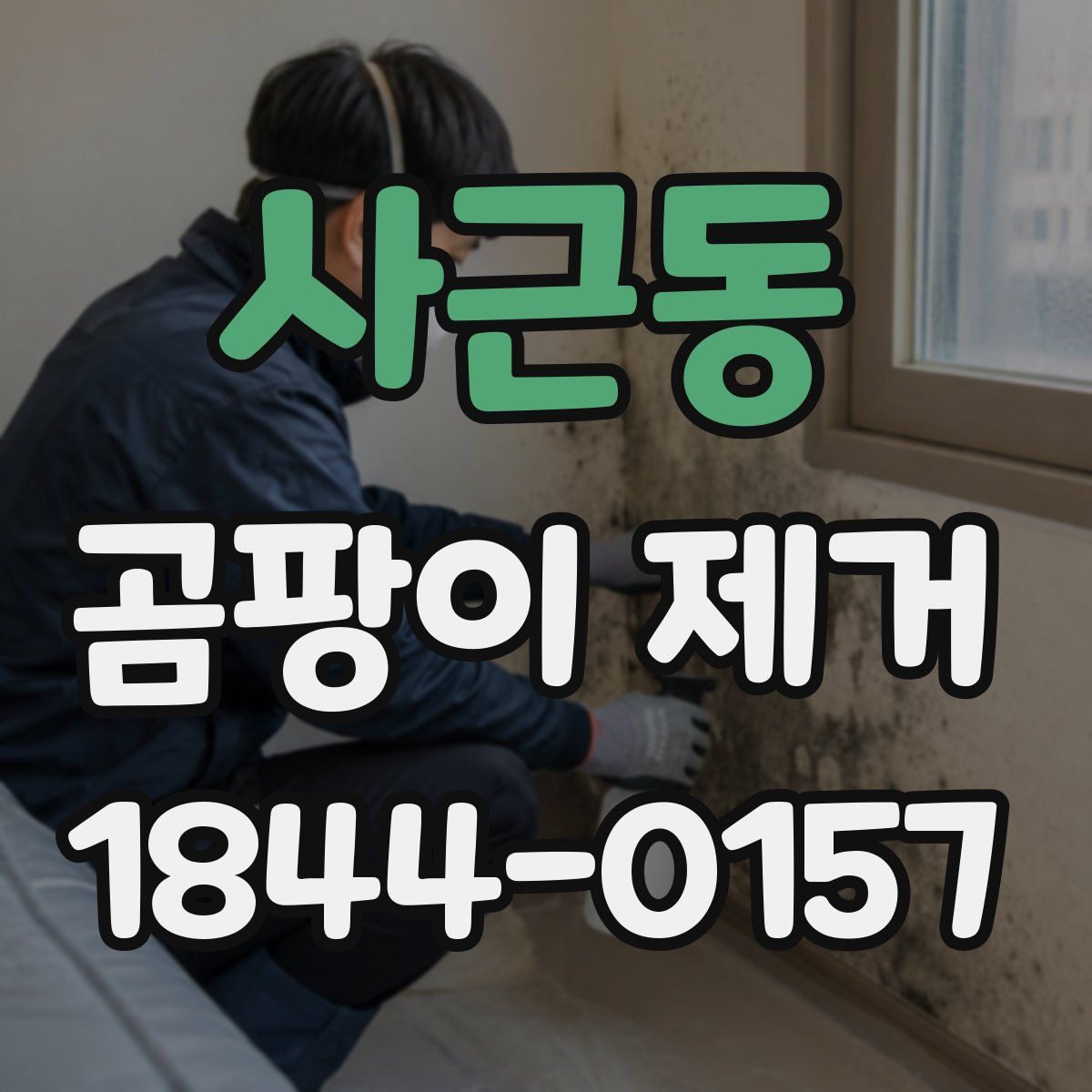 사근동 곰팡이 제거