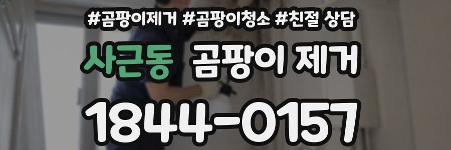 사근동 곰팡이 제거