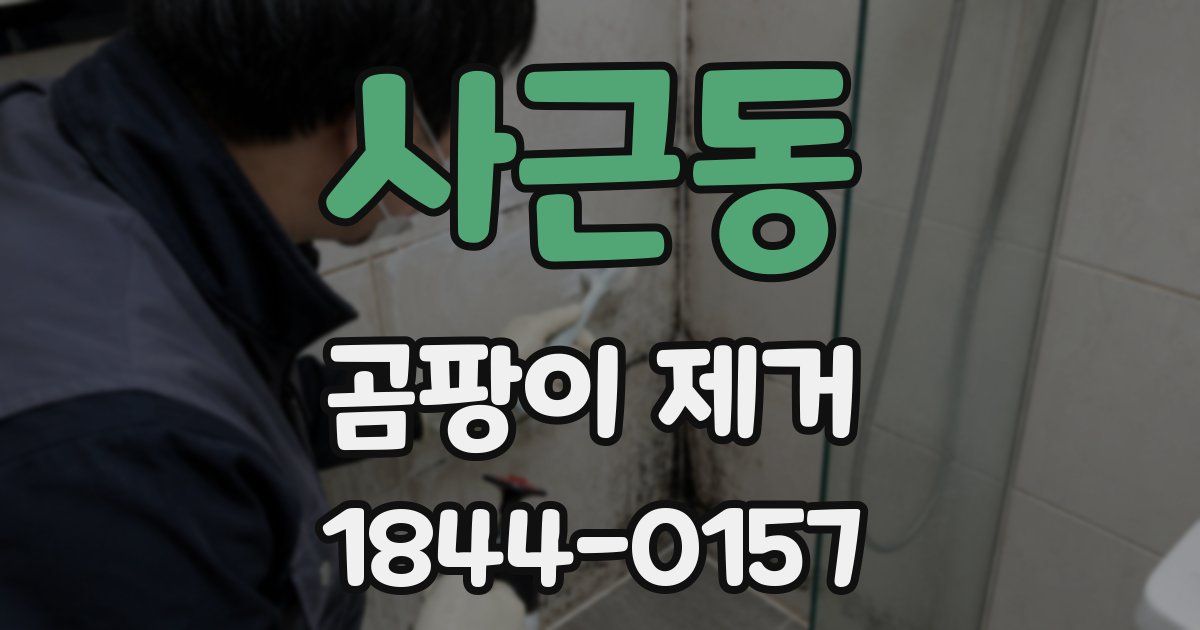 사근동 곰팡이 제거
