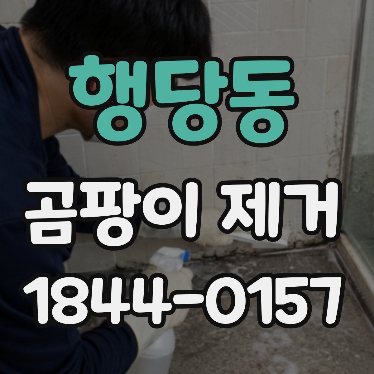 행당동 곰팡이 제거