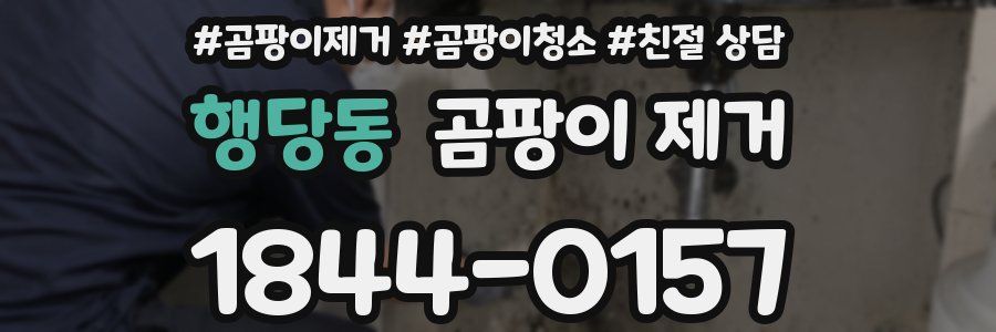 행당동 곰팡이 제거