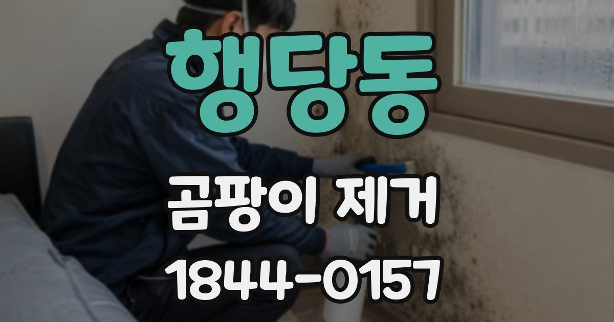 행당동 곰팡이 제거