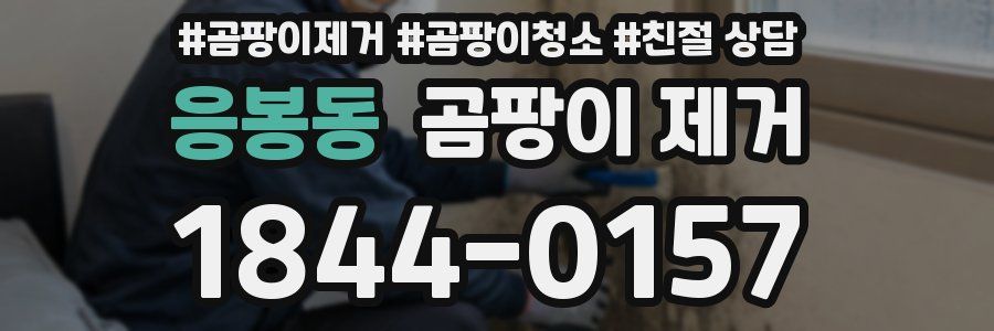 응봉동 곰팡이 제거
