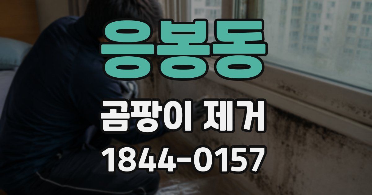 응봉동 곰팡이 제거
