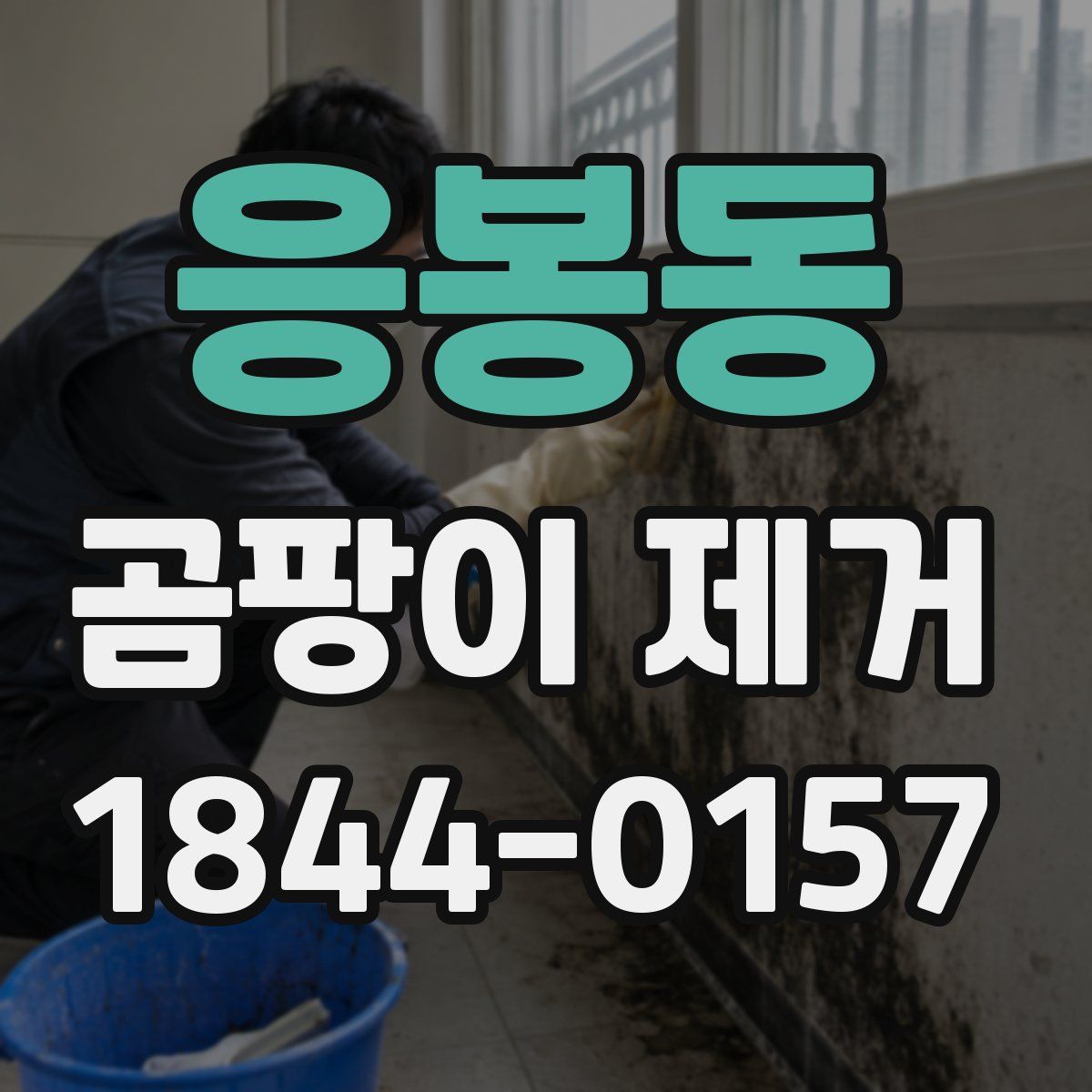 응봉동 곰팡이 제거