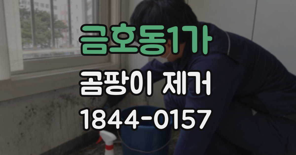 금호동1가 곰팡이 제거