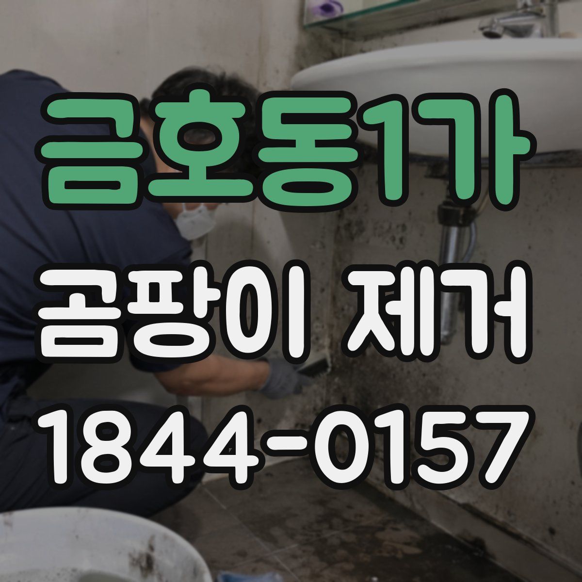금호동1가 곰팡이 제거