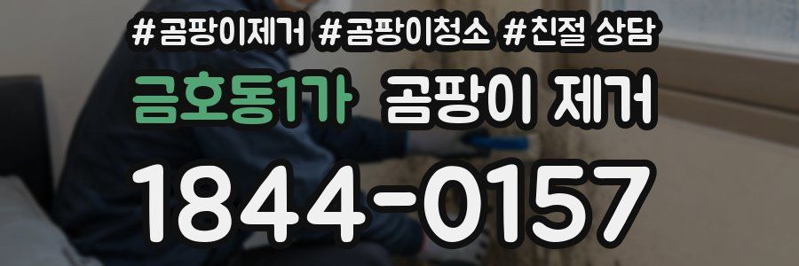 금호동1가 곰팡이 제거