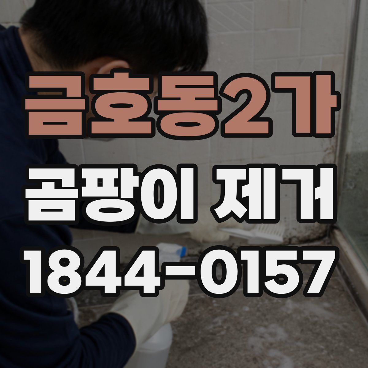 금호동2가 곰팡이 제거