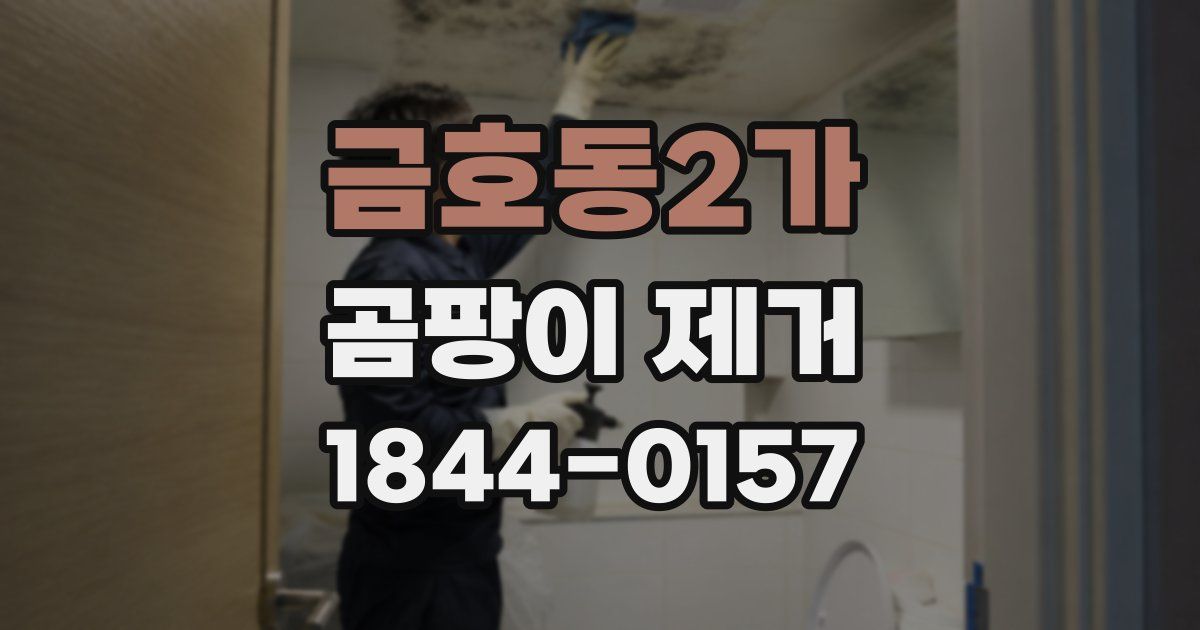 금호동2가 곰팡이 제거