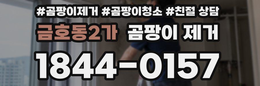 금호동2가 곰팡이 제거