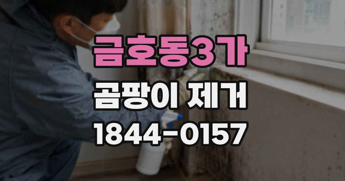 금호동3가 곰팡이 제거