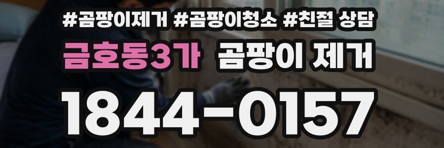 금호동3가 곰팡이 제거