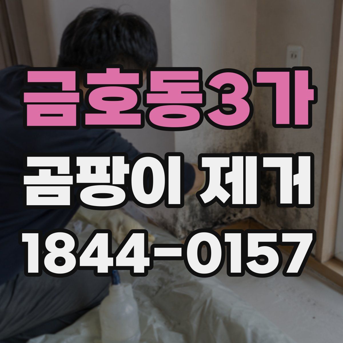 금호동3가 곰팡이 제거