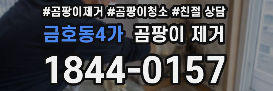 금호동4가 곰팡이 제거