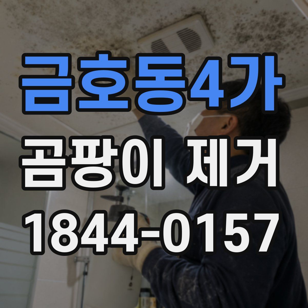 금호동4가 곰팡이 제거