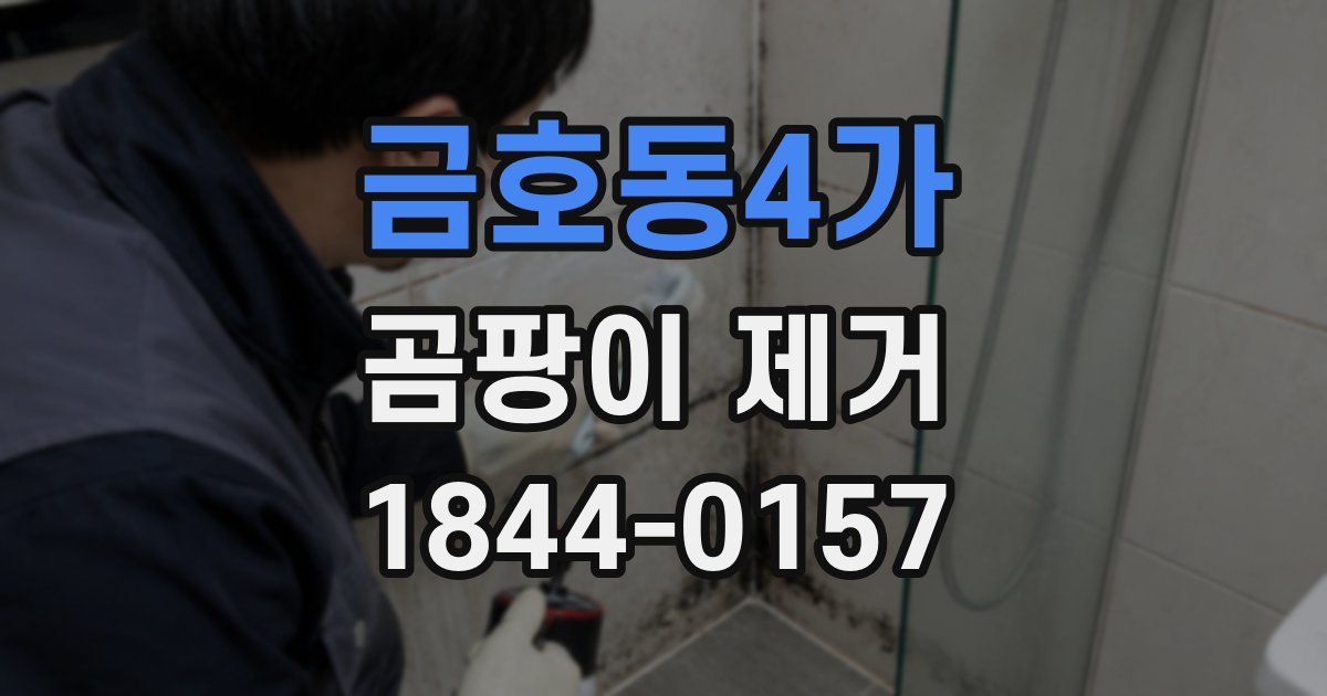 금호동4가 곰팡이 제거