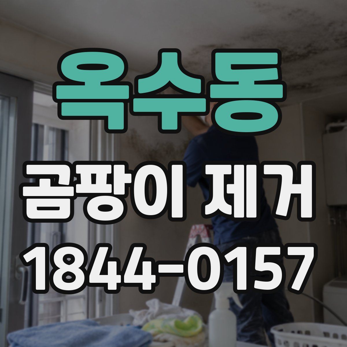 옥수동 곰팡이 제거