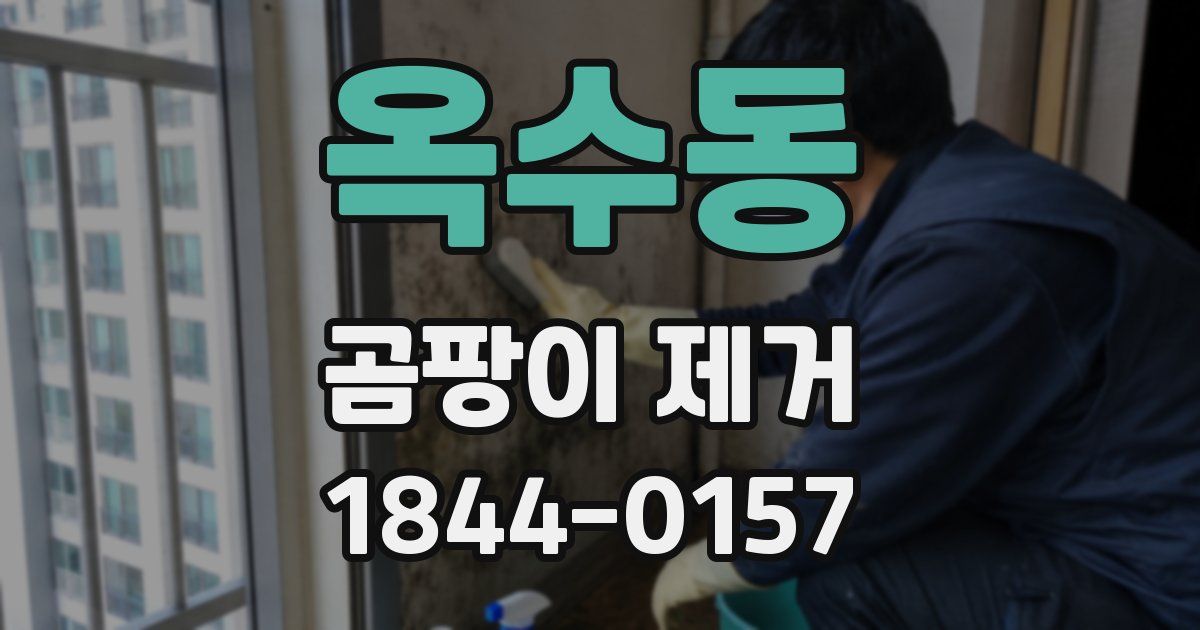 옥수동 곰팡이 제거