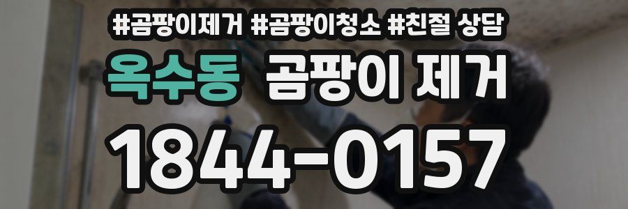 옥수동 곰팡이 제거