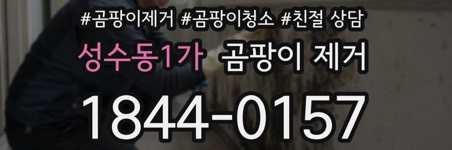 성수동1가 곰팡이 제거