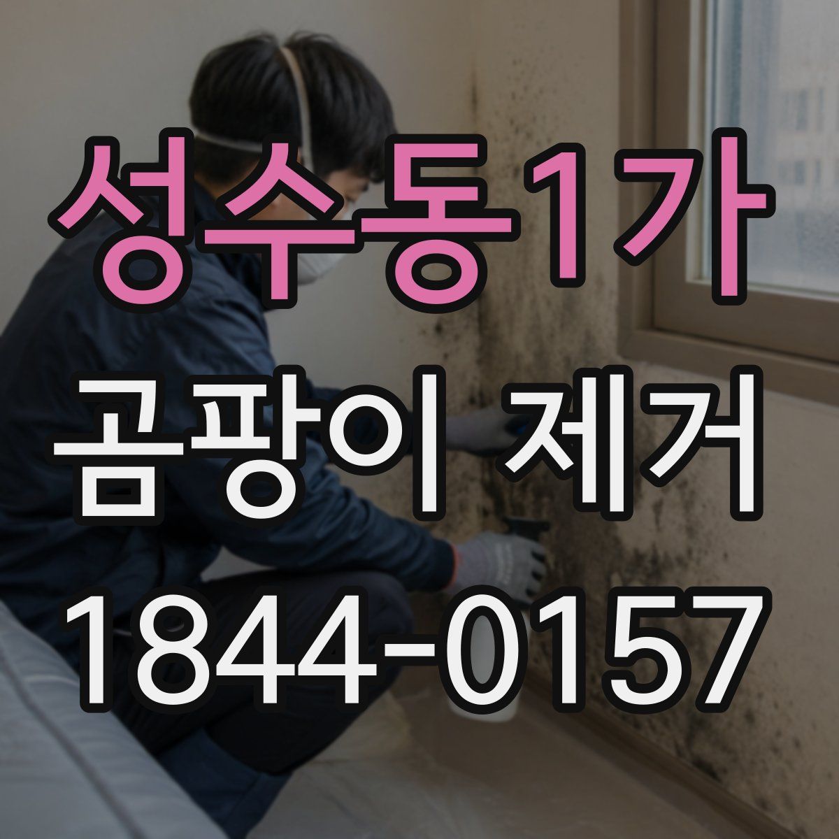 성수동1가 곰팡이 제거