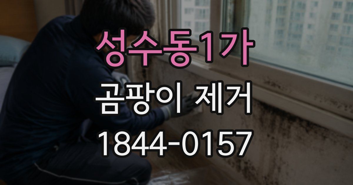 성수동1가 곰팡이 제거