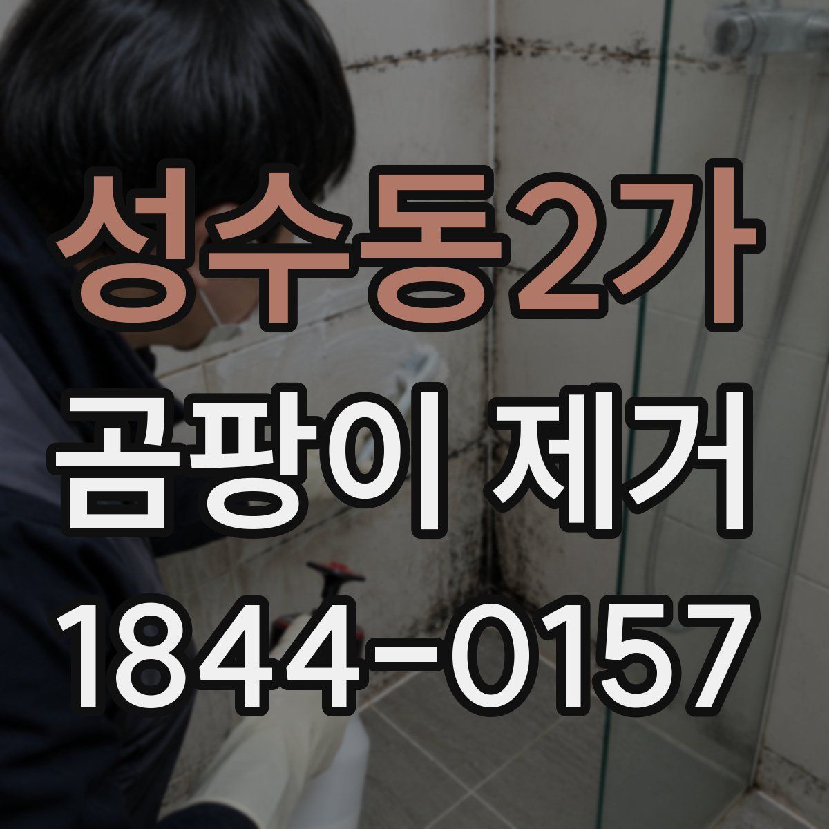 성수동2가 곰팡이 제거