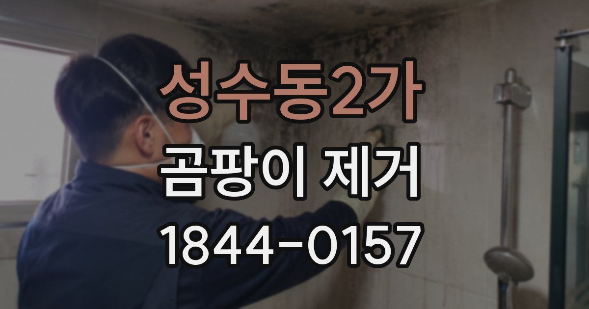 성수동2가 곰팡이 제거
