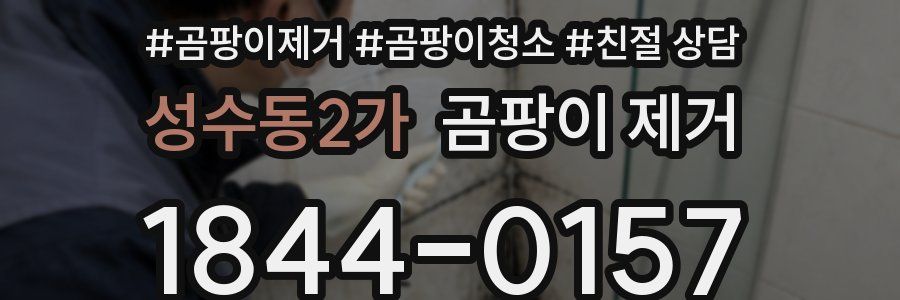 성수동2가 곰팡이 제거