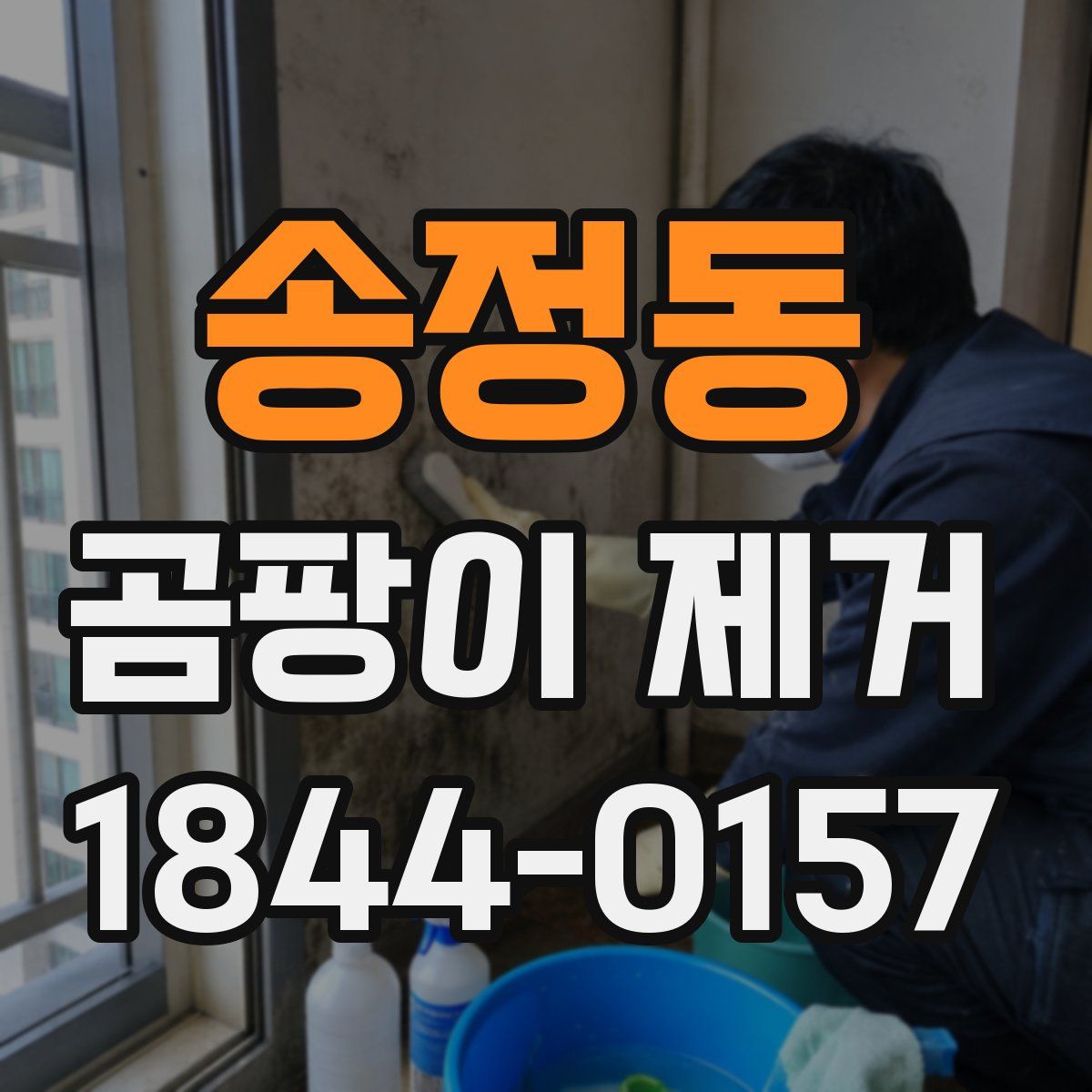 송정동 곰팡이 제거