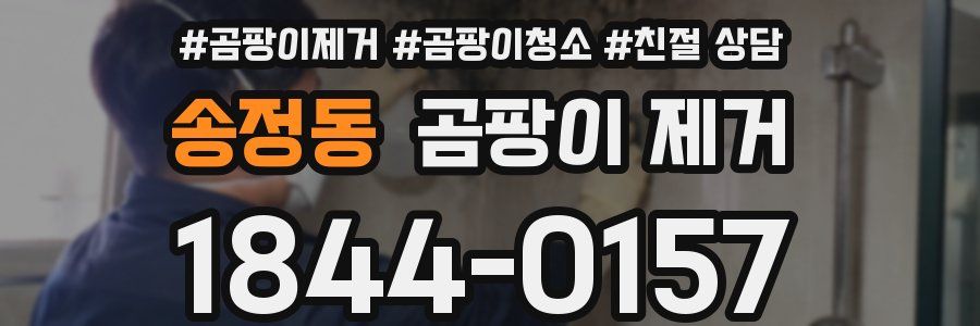 송정동 곰팡이 제거