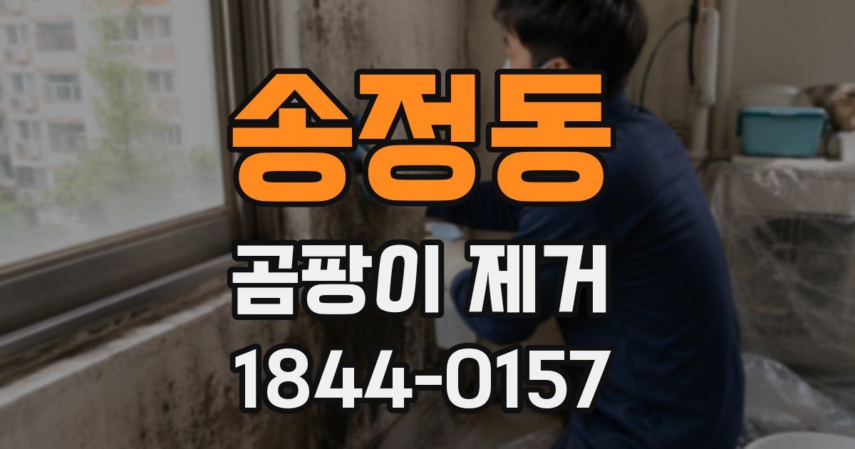 송정동 곰팡이 제거