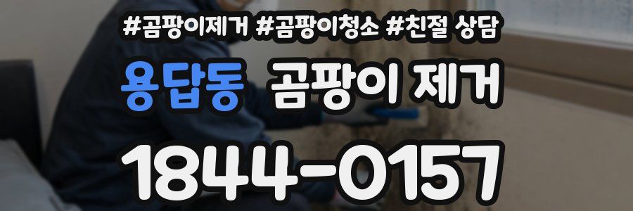 용답동 곰팡이 제거