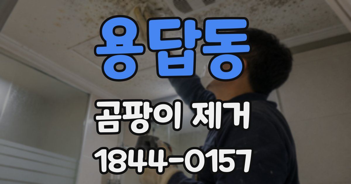 용답동 곰팡이 제거