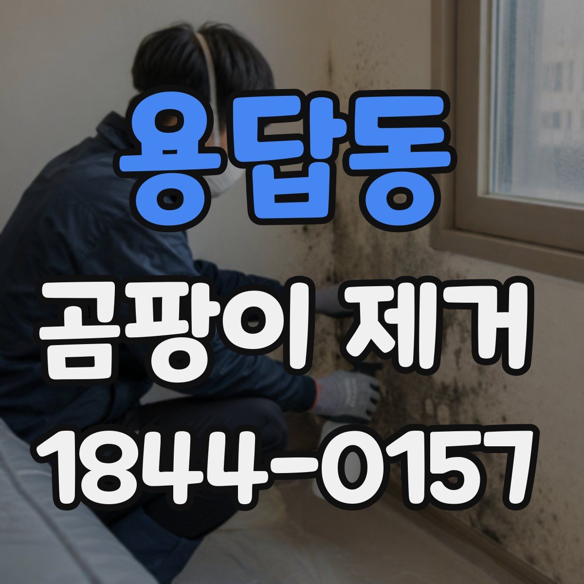 용답동 곰팡이 제거