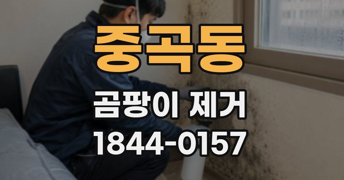 중곡동 곰팡이 제거