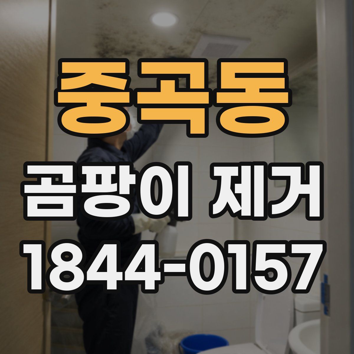 중곡동 곰팡이 제거