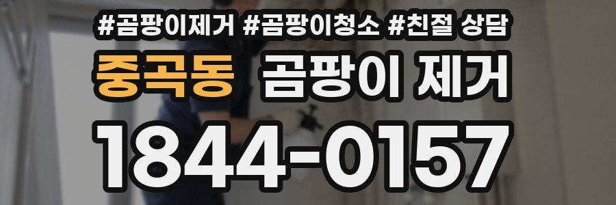 중곡동 곰팡이 제거