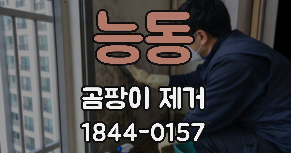 능동 곰팡이 제거