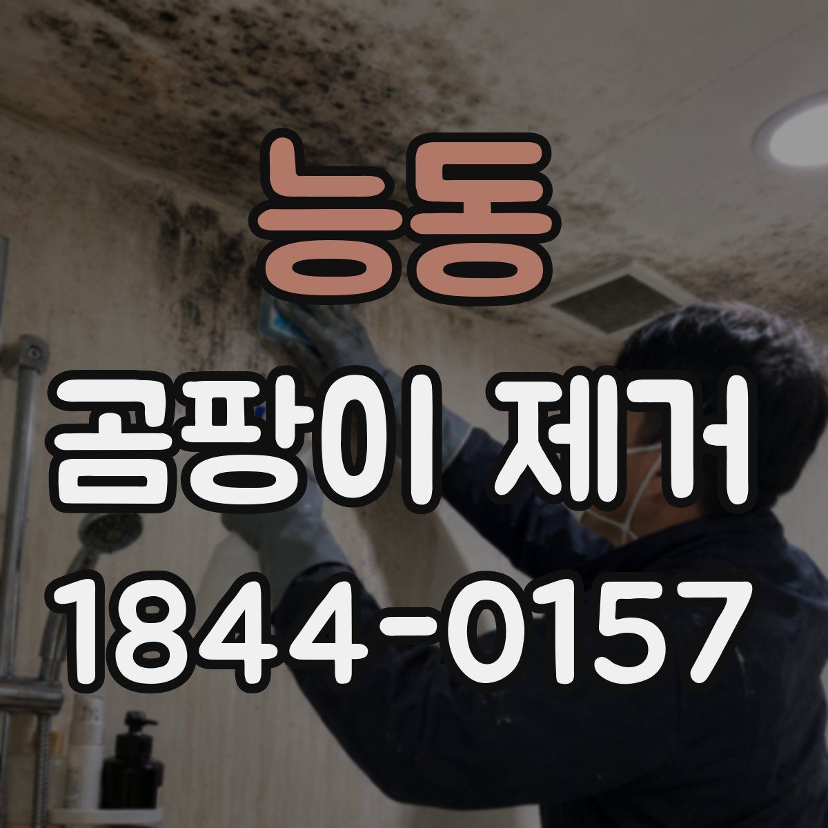능동 곰팡이 제거