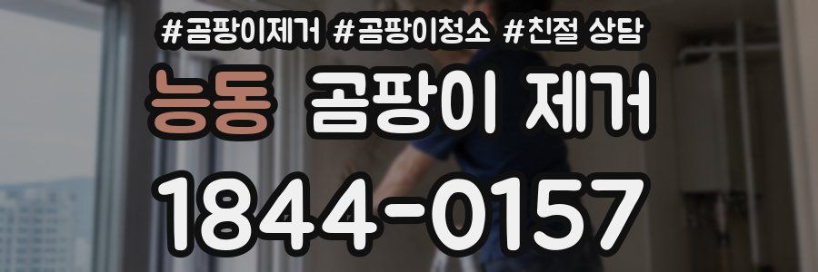 능동 곰팡이 제거