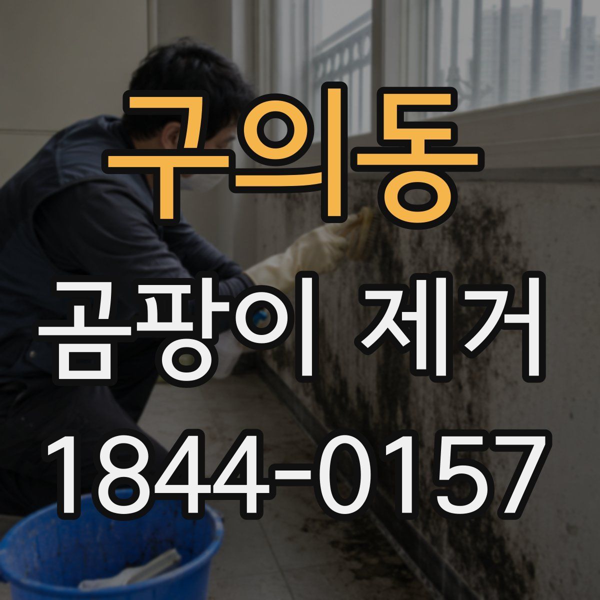 구의동 곰팡이 제거
