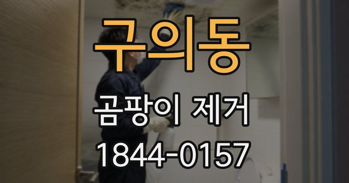 구의동 곰팡이 제거
