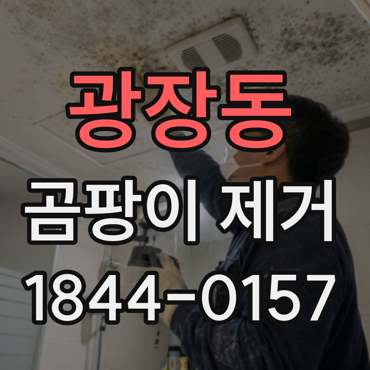 광장동 곰팡이 제거