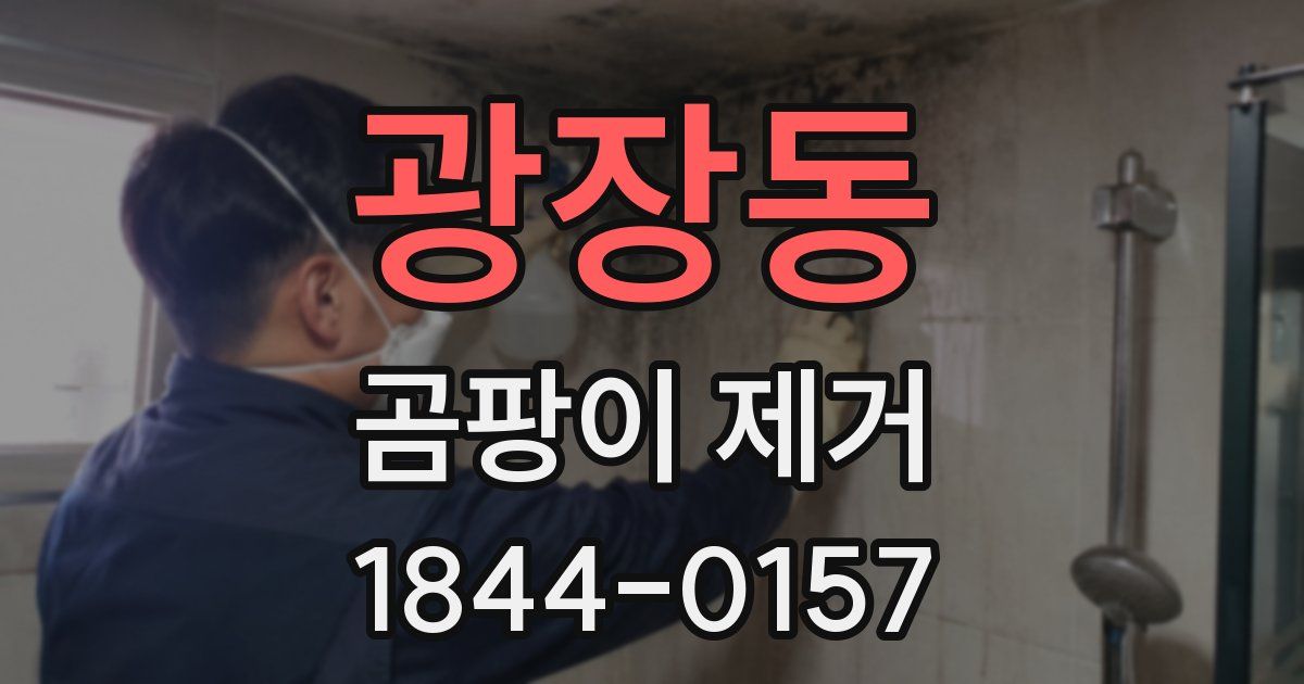 광장동 곰팡이 제거
