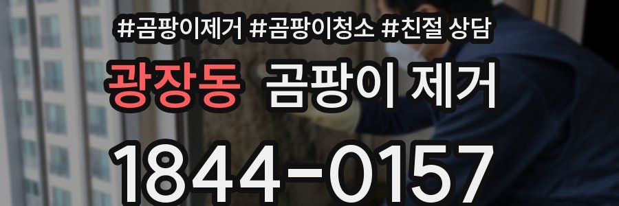 광장동 곰팡이 제거