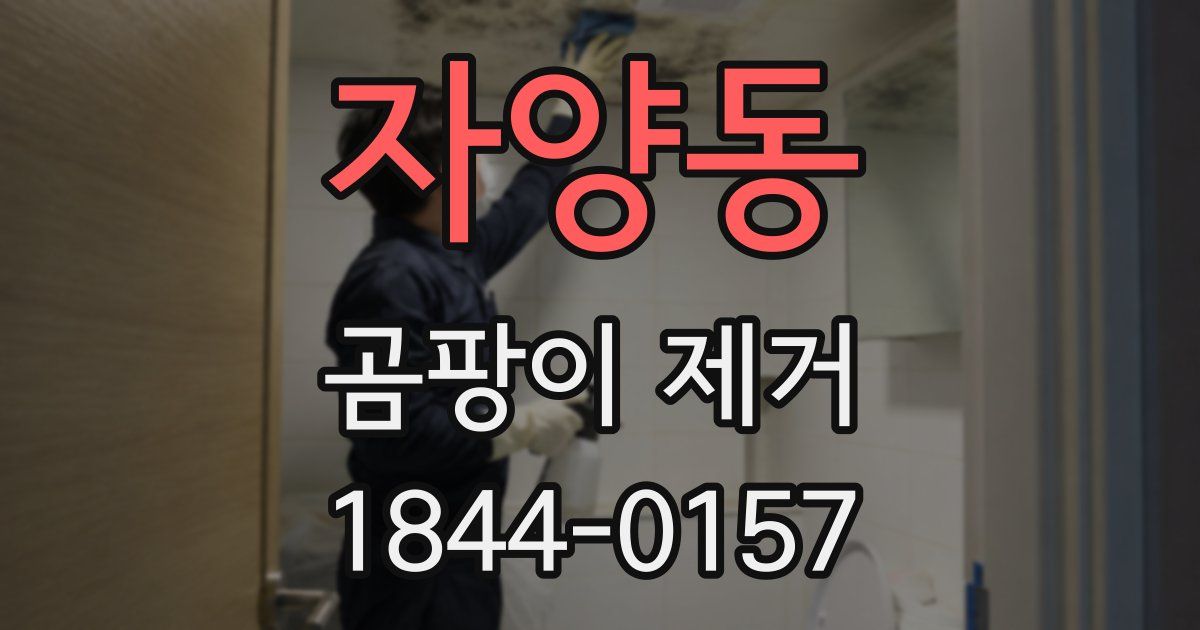 자양동 곰팡이 제거