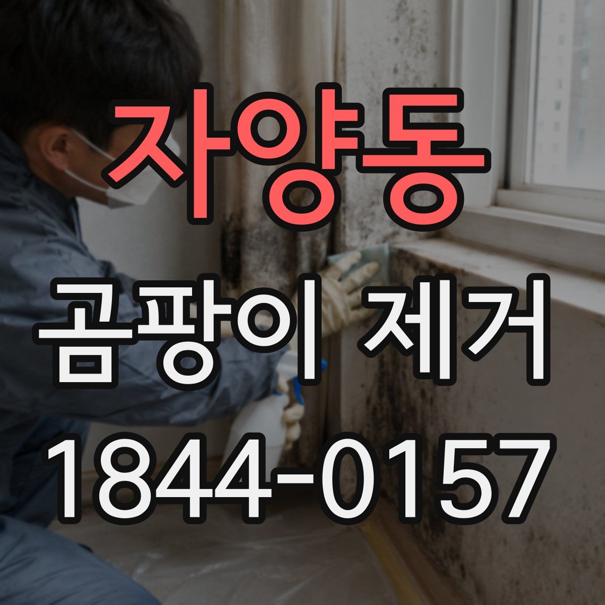자양동 곰팡이 제거
